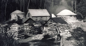 1984 wurden das Köhlerhaus
und die beiden noch vorhandenen Teeröfen zu einem Technischen Denkmal erklärt